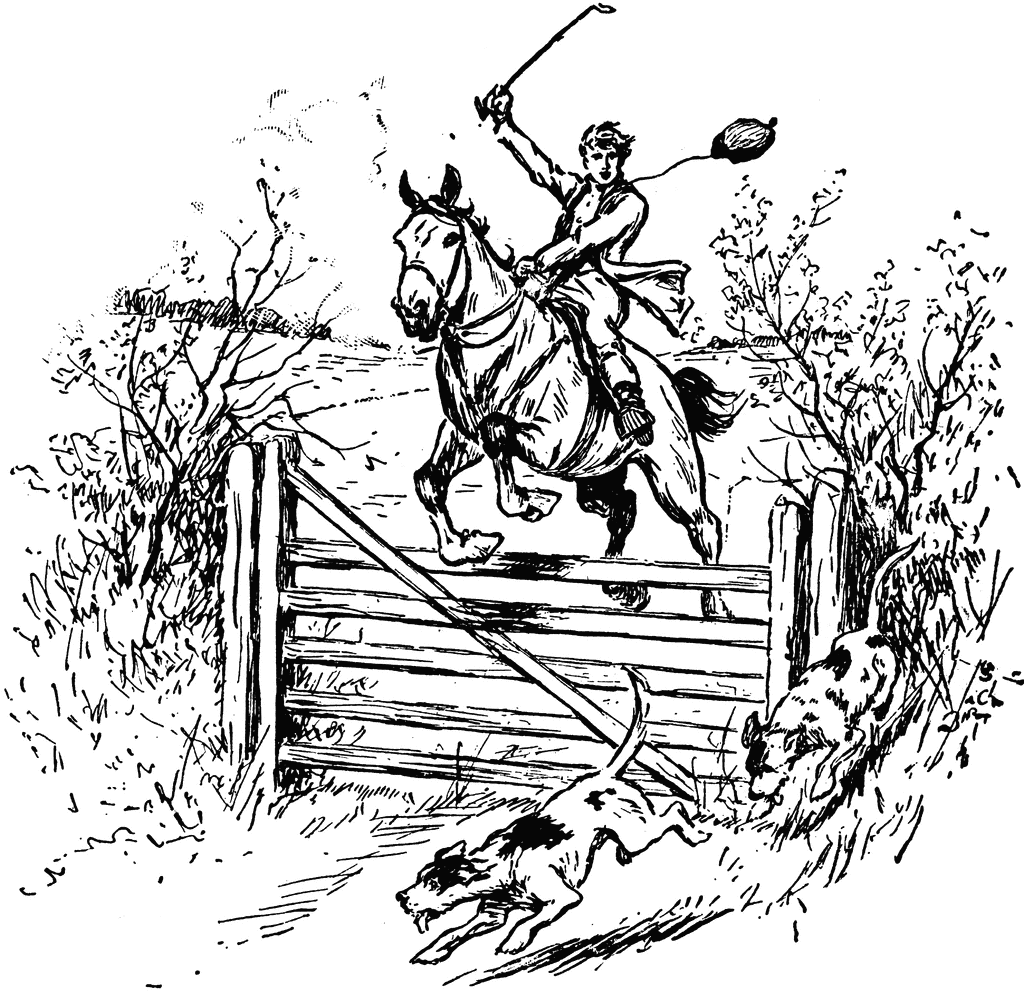 Horse Jumping Over Fence   Clipart Etc