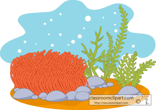 Marine Life Clipart   Coral Reef 2   Classroom Clipart