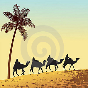 Sahara Desert And Camels Stock Images   Image  8648734