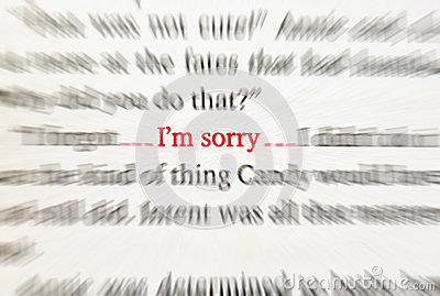 Sorry Sentence Focused On A Novel Paper 