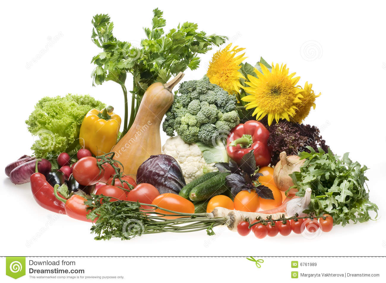Vegetable Food Group Clipart Royalty Free Pic  15