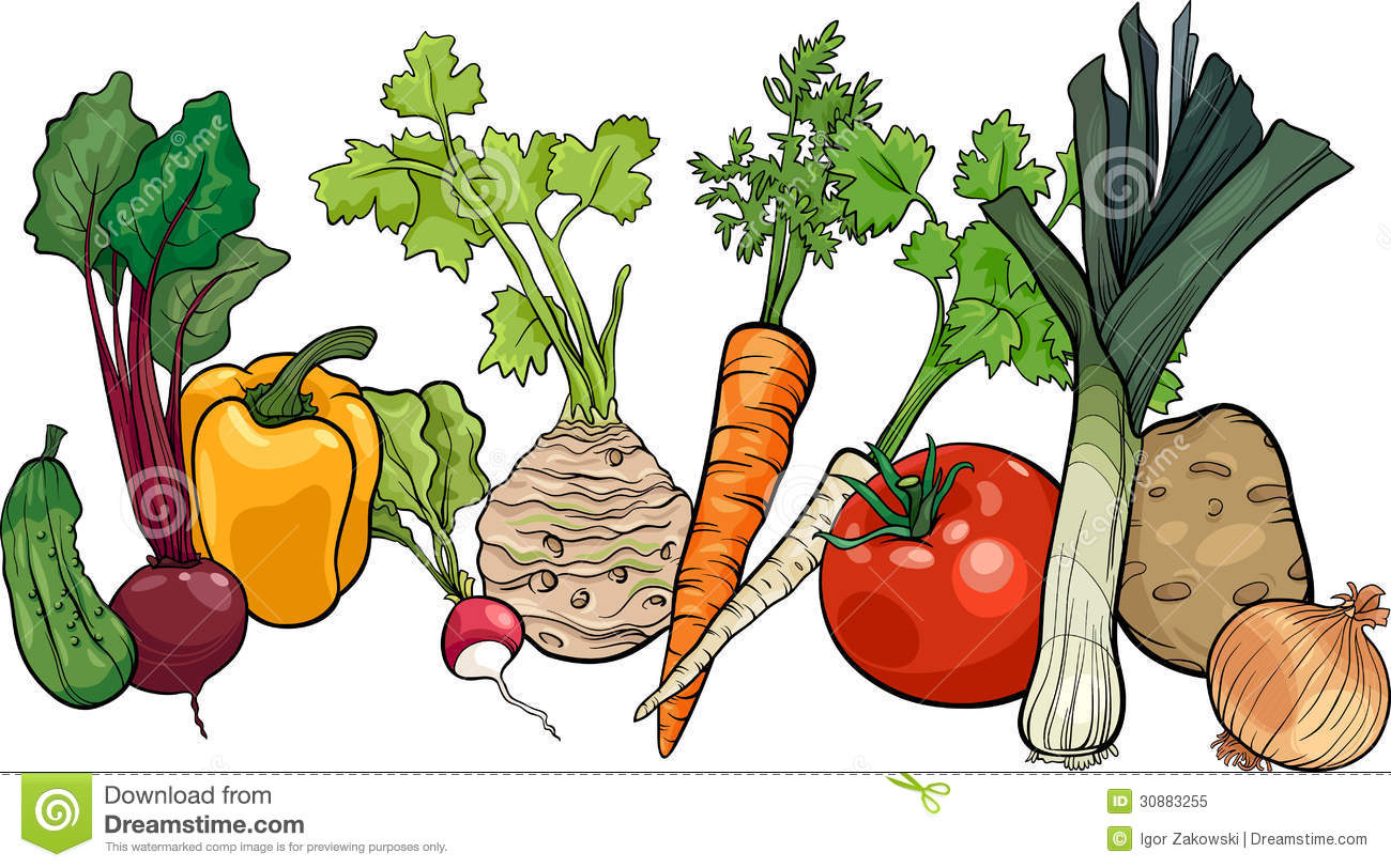 Vegetable Food Group Clipart Royalty Free Pictures