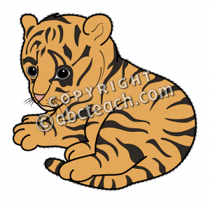 View Full Size More Jungle Baby Animals Clip Art Hawaii Pictures