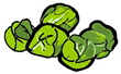 Brussel Sprouts   Cabbage Clipart Page 1 