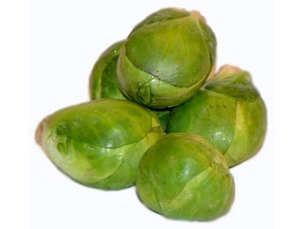 Brussel Sprouts Clip Art Pictures   Free Quality Clipart