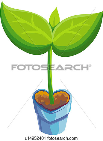 Celebration Plants Flowerpot Sprout View Large Clip Art Graphic