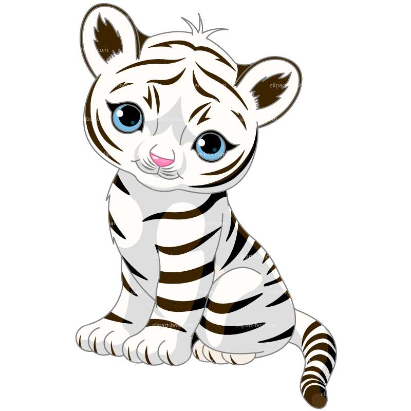 Clipart White Tiger   Royalty Free Vector Design