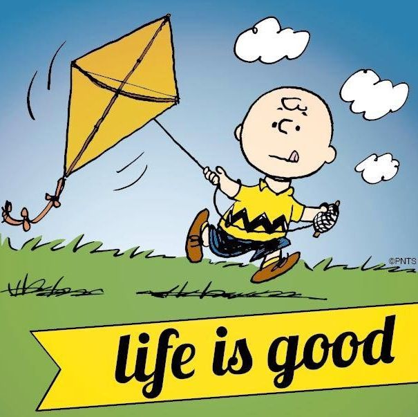 Life Is Good Quote And Charlie Brown Cartoon Via Www Facebook Com