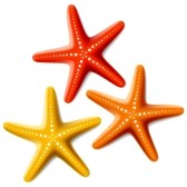 Marina Clipart 9720193 Starfishes Jpg