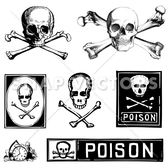 Skull Crossbones And Poison Clipart   Snap Vectors   Clipart   Vectors