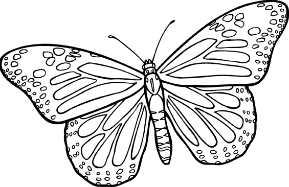23 Butterfly Clip Art Pictures Free Cliparts That You Can Download To