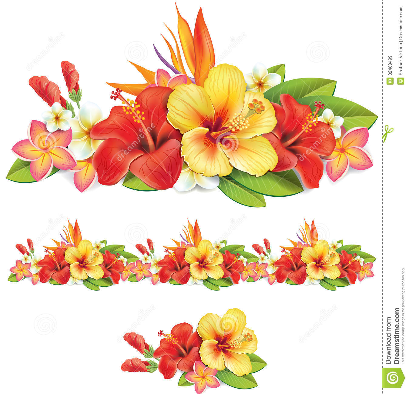 Garland Of Tropical Flowers Royalty Free Stock Images   Image    