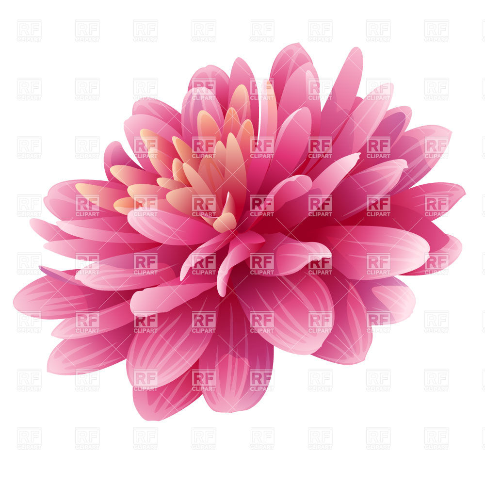 Pink Bud Of Dahlia Flower Download Royalty Free Vector Clipart  Eps