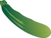 Clipart   Courgette