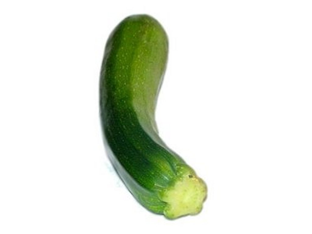 Free Zucchini Clipart Pictures