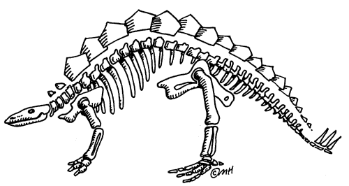 Gallery For   Dinosaur Skeleton Clip Art