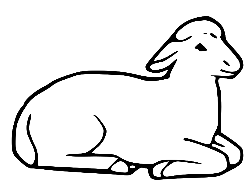 Lamb Laying Down Colouring Pages