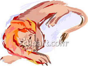 Lion Laying Down With His Paws Crossed   Royalty Free Clipart    