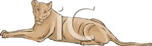 Lioness Laying Down Clipart Picture