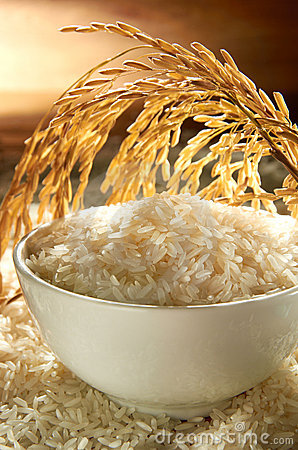 Rice Grain Clipart Rice Grain 23269397 Jpg