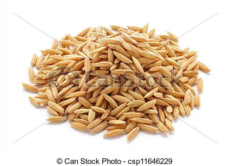 Rice Grain Clipart Unmilled Rice Grains