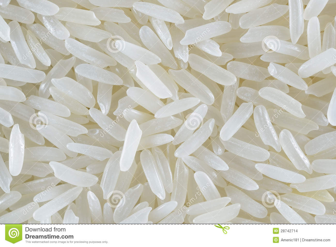 Rice Grain  Jasmine Rice  