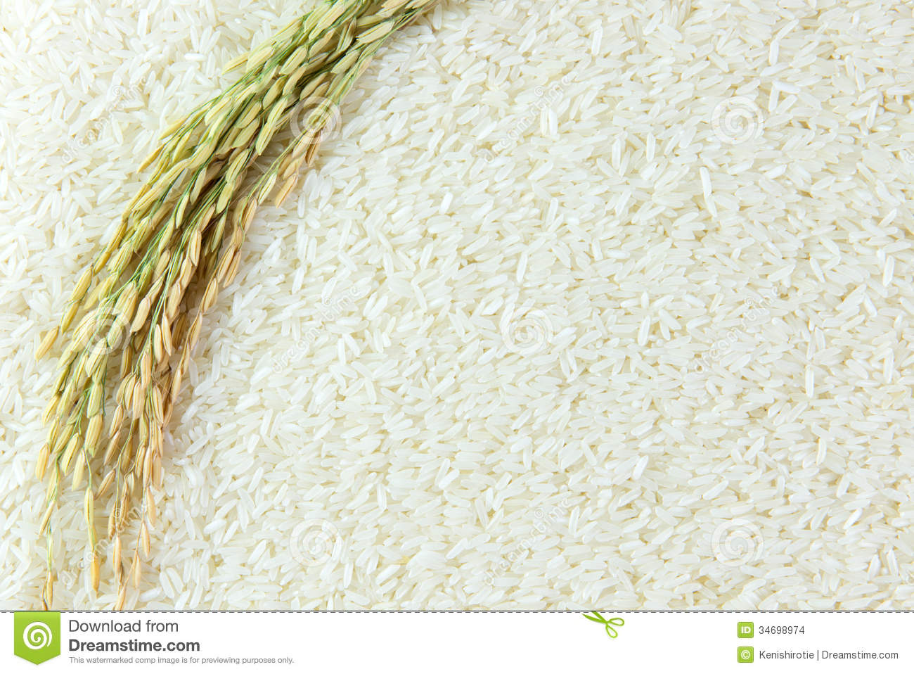 Rice Grain Stock Images   Image  34698974
