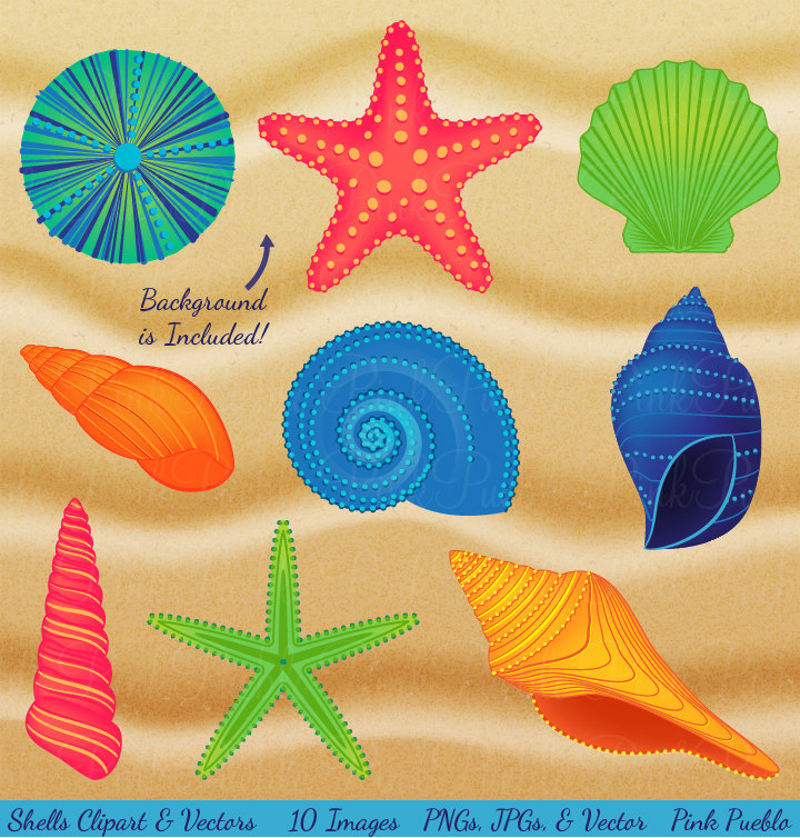Shells Clipart Clip Art Beach Ocean Travel Vacation By Pinkpueblo