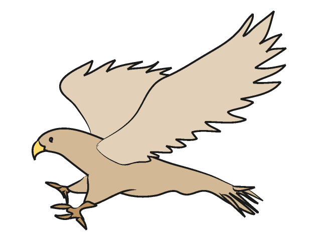 01 Falcon   Hawk   Free Animal Clip Art   Image Processing Ok