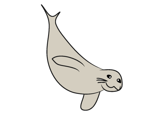 02 Seal   Sea Lion   Free Animal Clip Art   Image Processing Ok    
