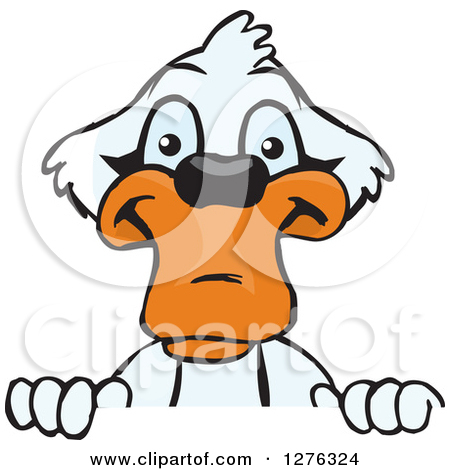 Clipart Of A Happy Mute Swan Peeking Over A Sign   Royalty Free Vector