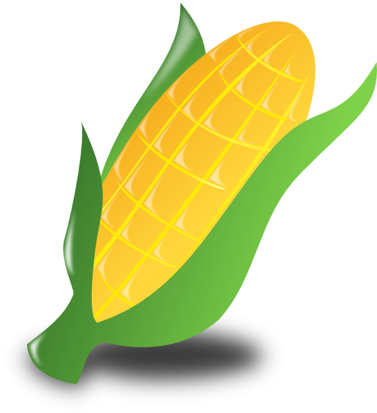 Corn Cub Clip Art At Clker Com   Vector Clip Art Online Royalty Free