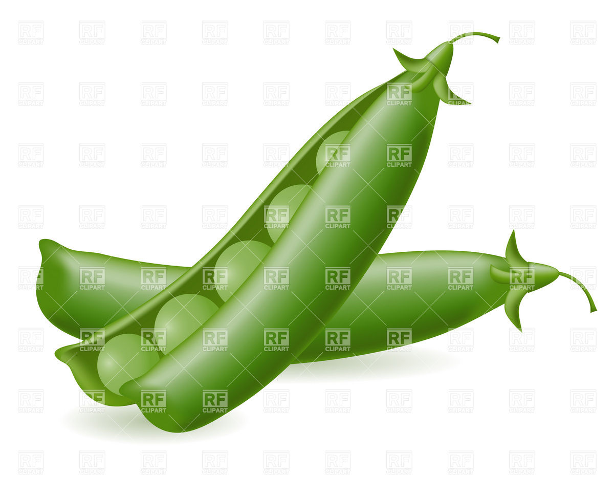 Displaying 17  Images For   Green Peas Clip Art   