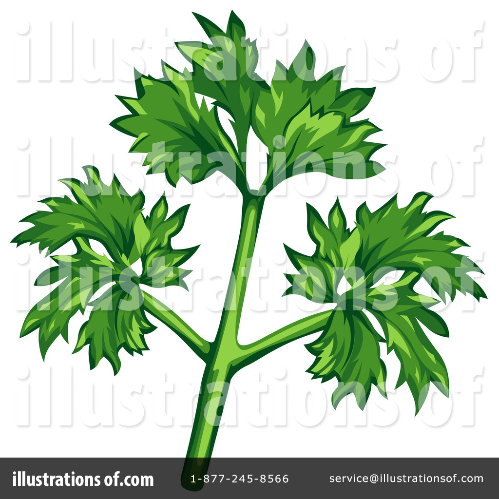 Herb Clipart  210879 By Dero   Royalty Free  Rf  Stock Illustrations