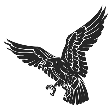 Mascot   Clipart Library   Hawks