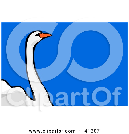 Royalty Free  Rf  Mute Swan Clipart   Illustrations  1