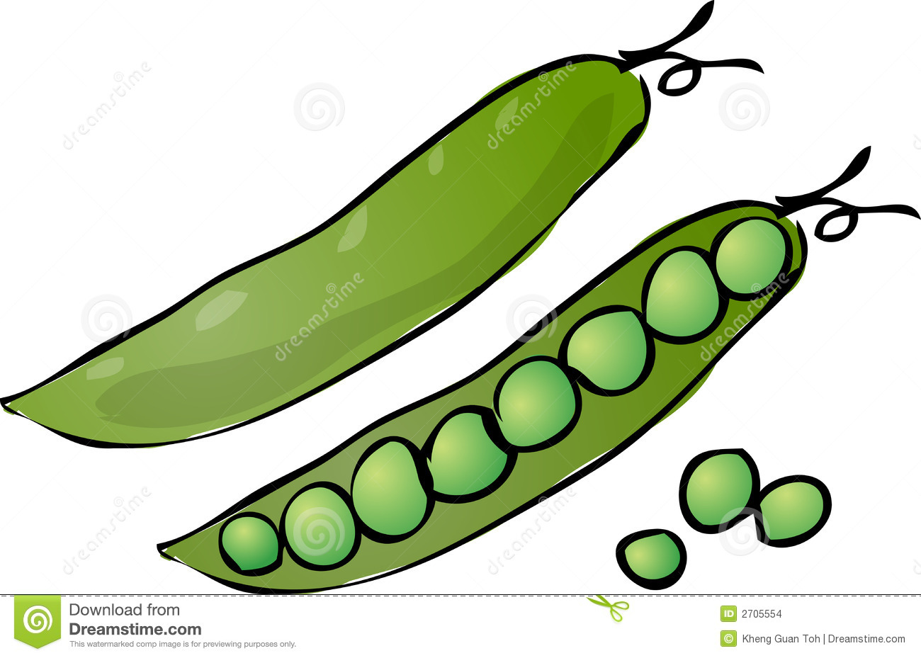 Sketch Of Peas In A Pod Hand Drawn Lineart Look Illustrationvector