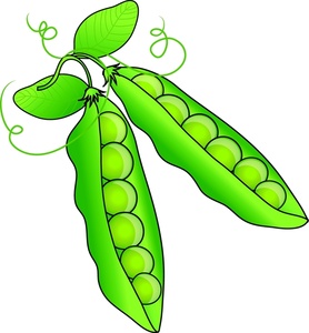 Two Peas In A Pod Clip Art   Clipart Best