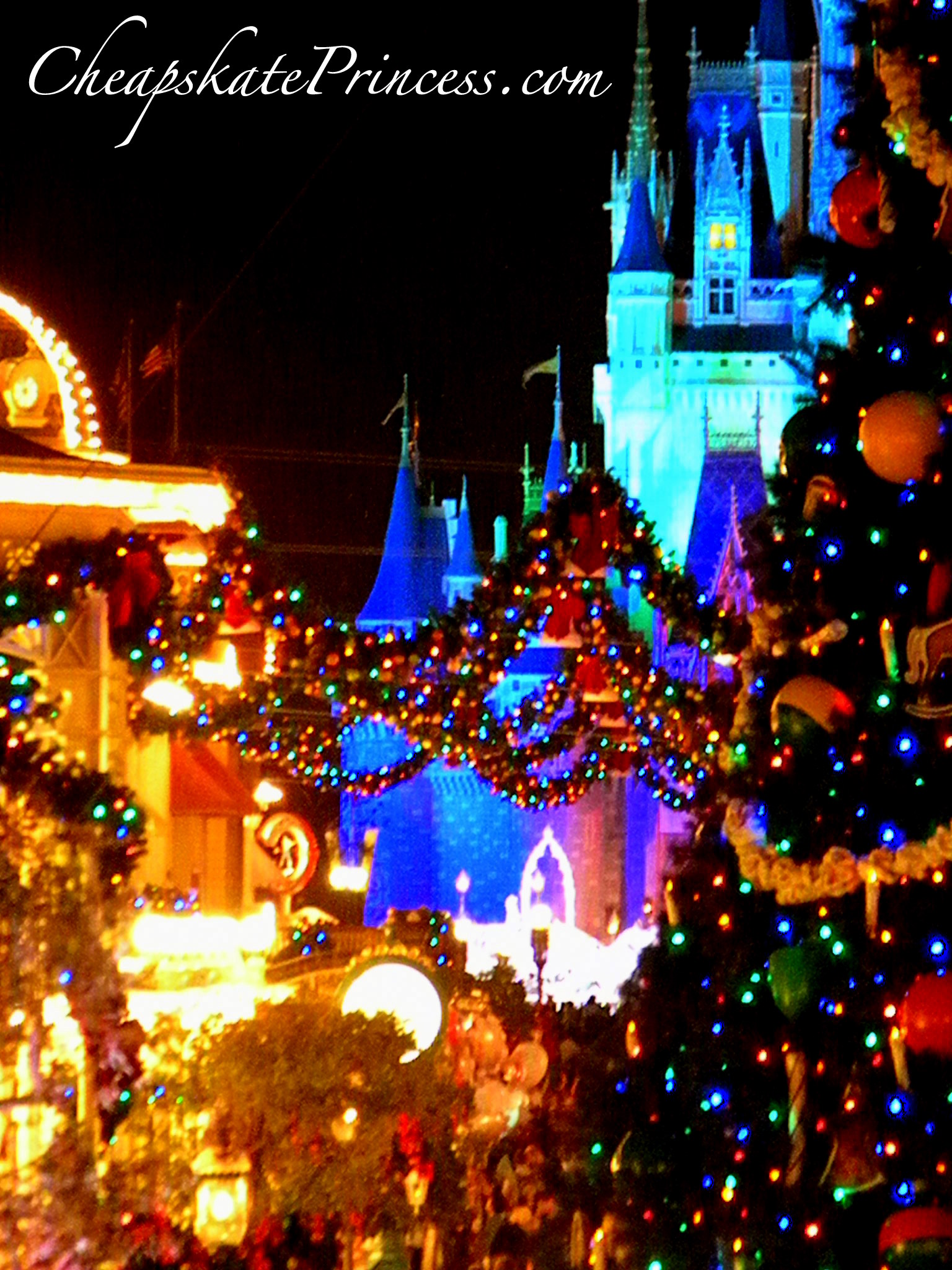Afford To Stay At Disney World During The Week Of Christmas