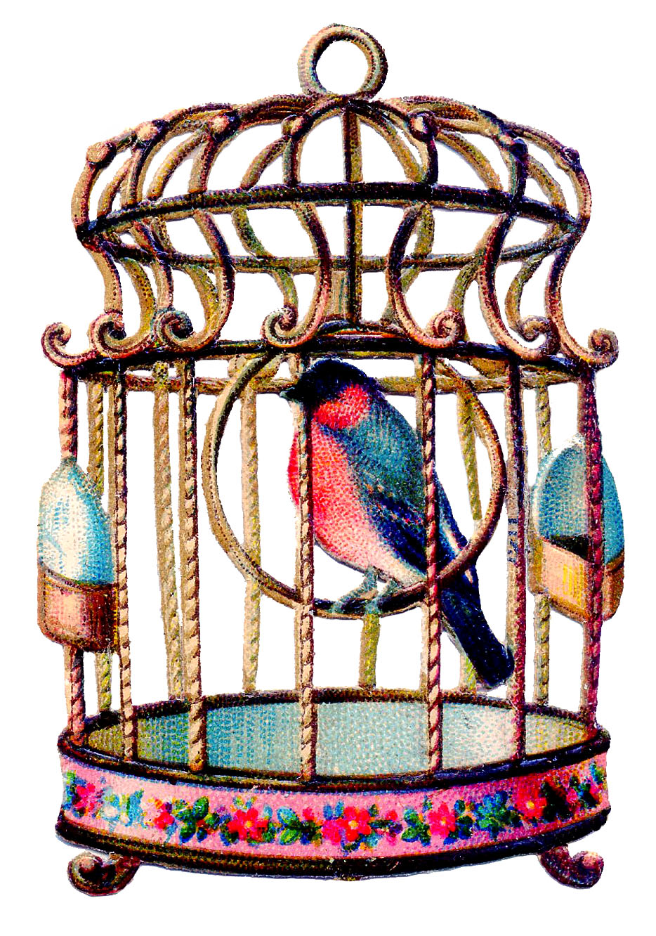 Clip Art   Delightful Colorful Bird In Cage   The Graphics Fairy