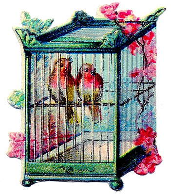 Clip Art   Pretty Birds In Asian Style Bird Cage   The Graphics Fairy