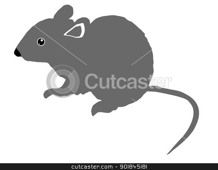 Grey Mouse Stock Vector Clipart Grey Mouse By Oleksandr Kovalenko