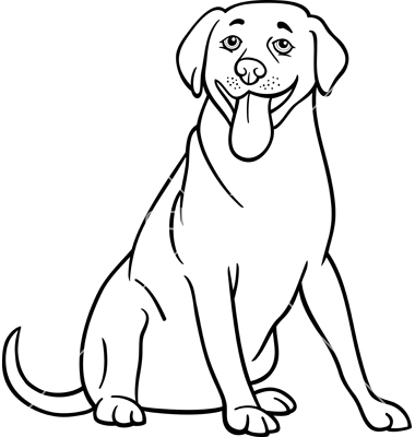 Labrador Retriever Dog Cartoon For Coloring Vector Art   Download