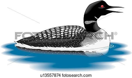 Loon View Large Clip Art Graphic