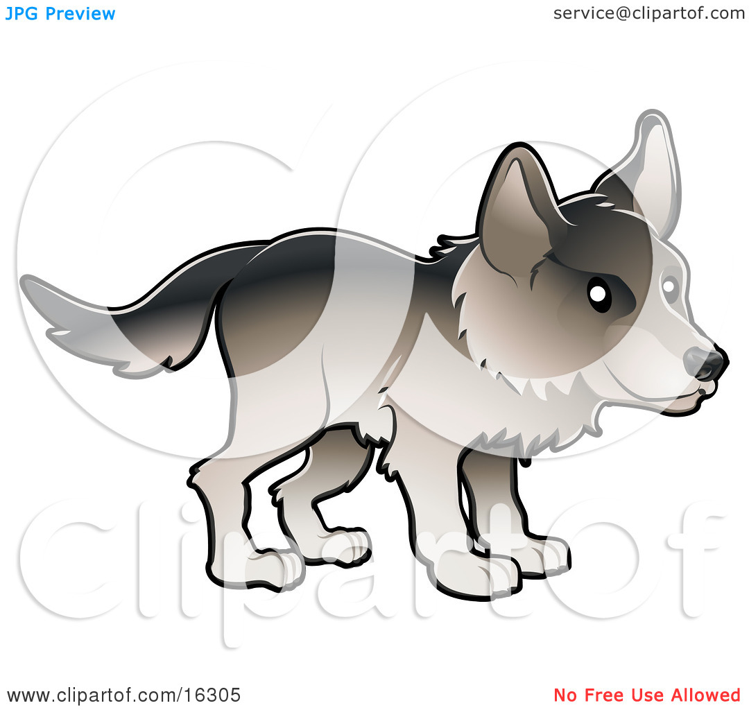 Timber Wolf In Profile Clipart Illustration Image By Geo Images  16305