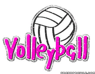 Volleyball Clipart Graphics And Cartoon Art For Logo Decal T