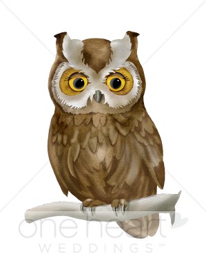 Brown Owl Clipart Brown Owl Clipart