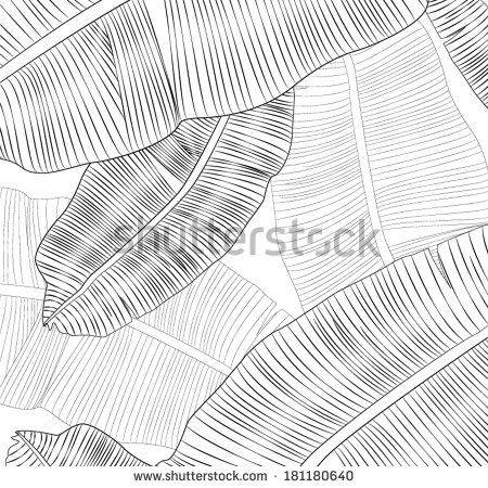 Leaf Texture Vector Image Gallery
