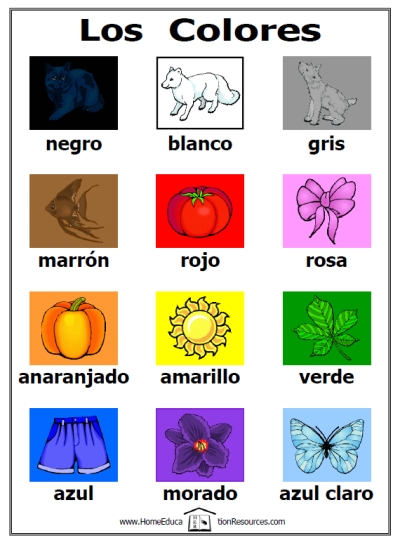 Los Colores  Colors In Spanish Activity Set   Fran S Freebies