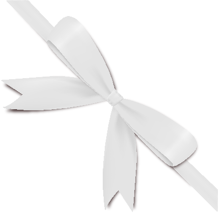 White Ribbon Bow